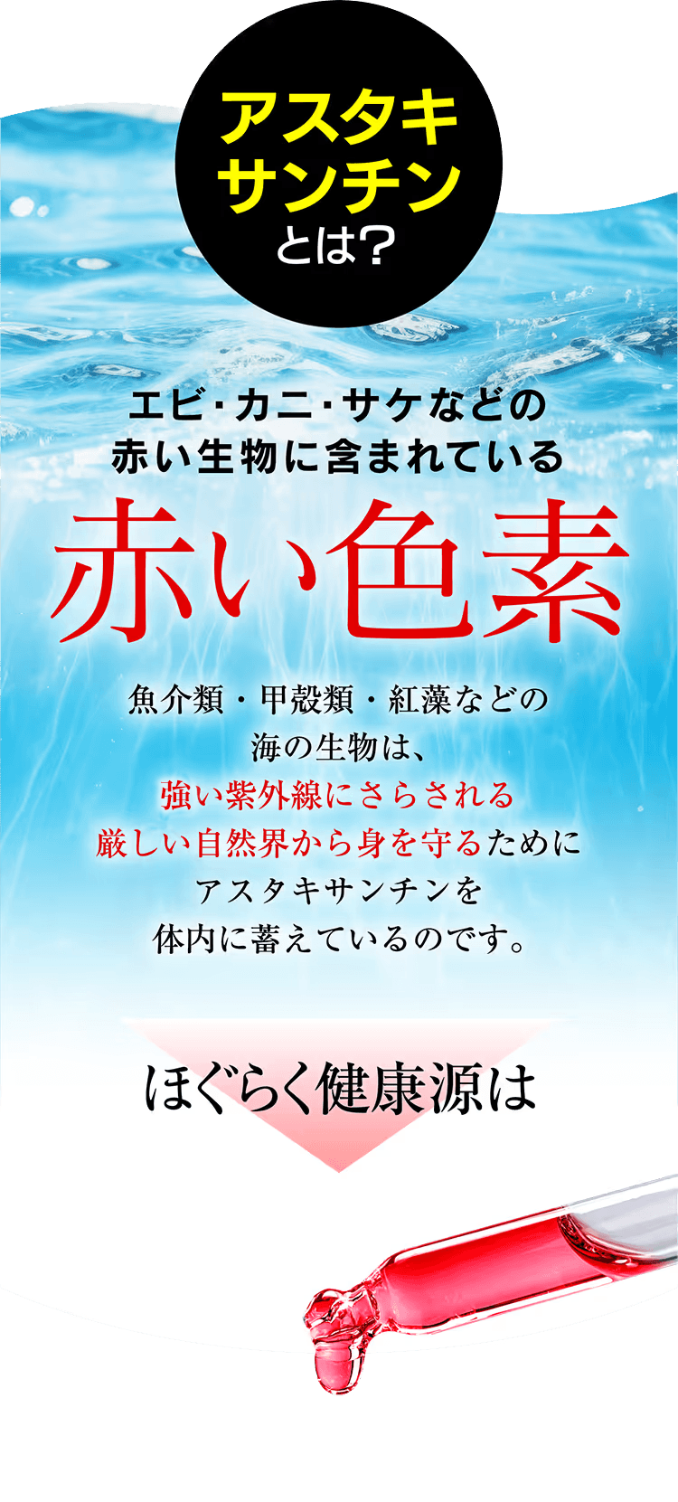 ほぐらく健康源