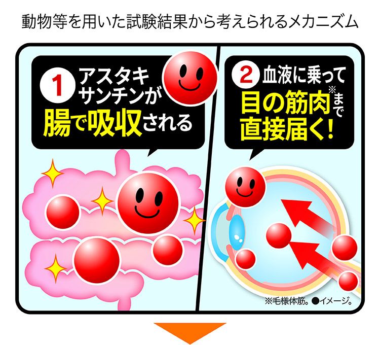ほぐらく健康源